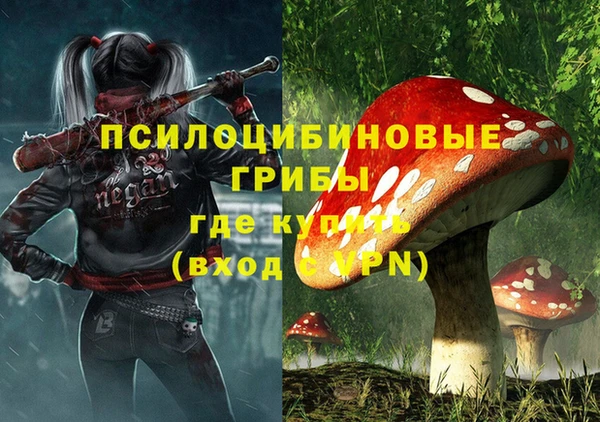 мдпв Абаза