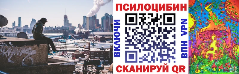 blacksprut tor купить цена Шахты Псилоцибиновые грибы ЛСД
